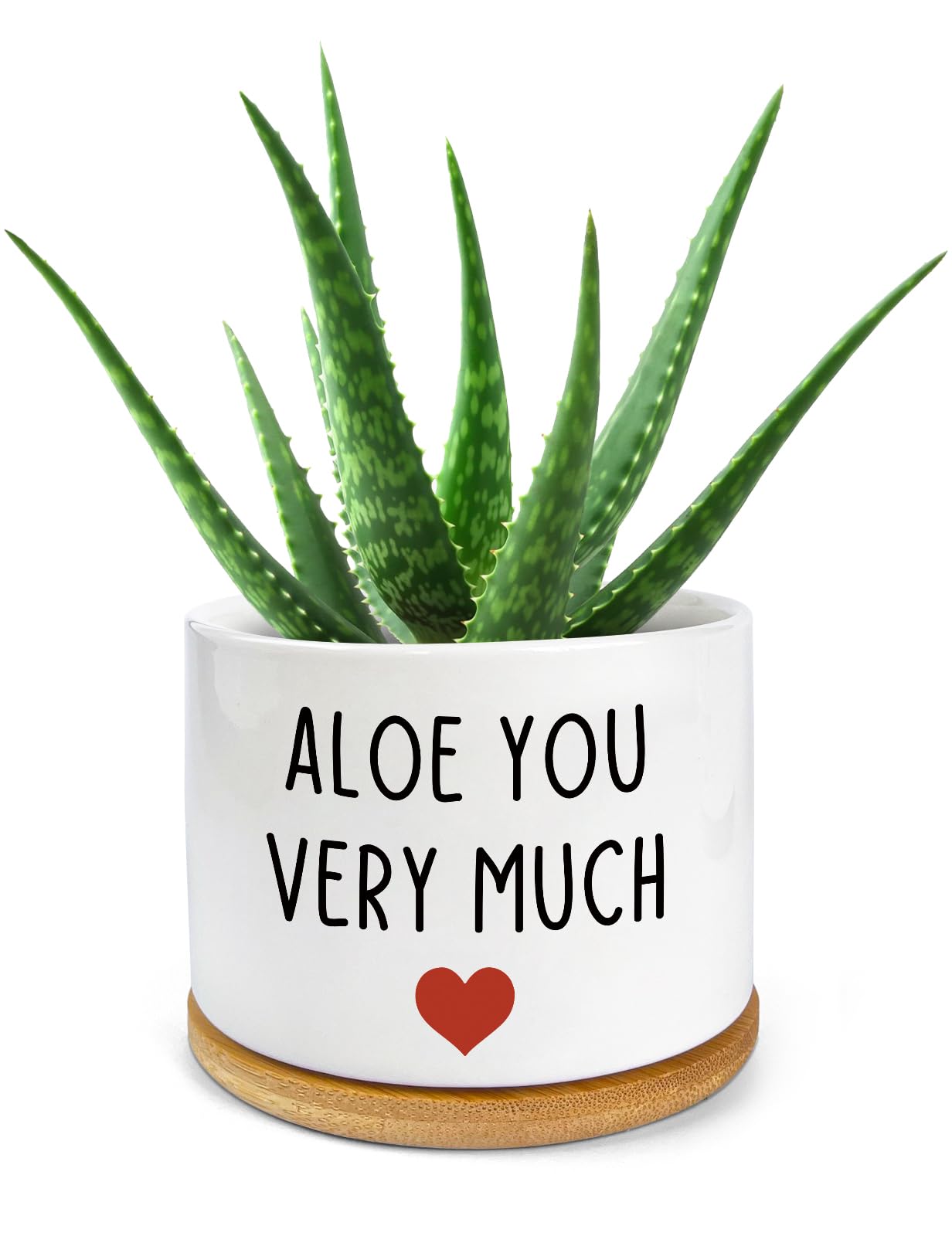 PWHINGN Thank You Very Much engraved succulent planter for stylish home decor gift.