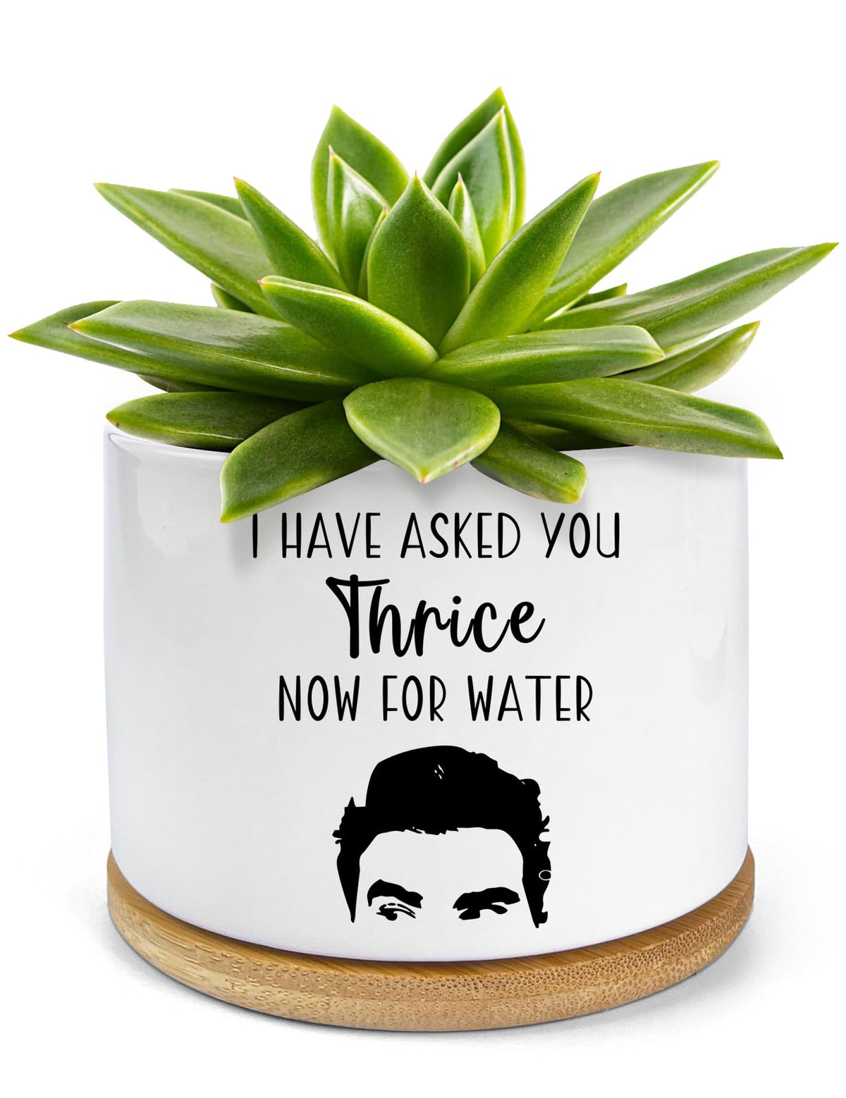 PWHINGN water ceramic succulent pot with tray showing drainage for healthy small plants