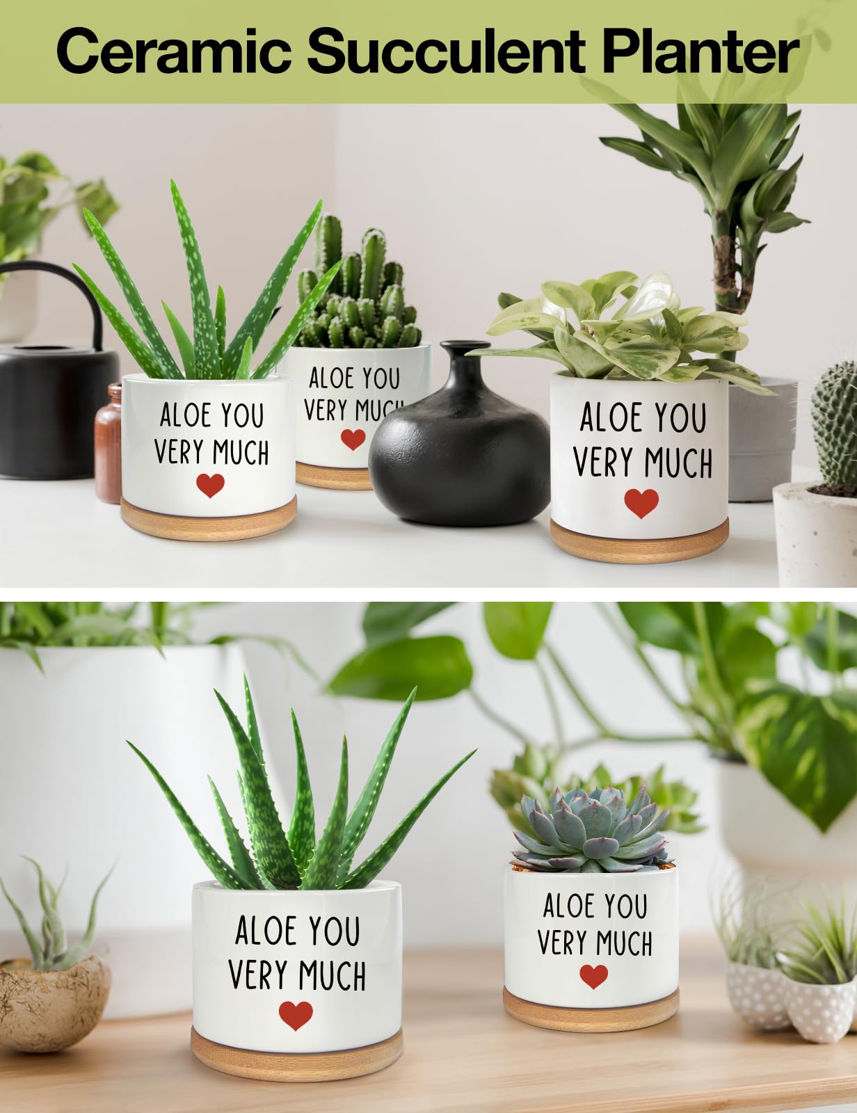 PWHINGN white ceramic succulent pot close-up with durable glossy glaze.