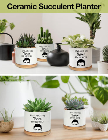 PWHINGN white round ceramic pot with drainage hole for clean urban decor