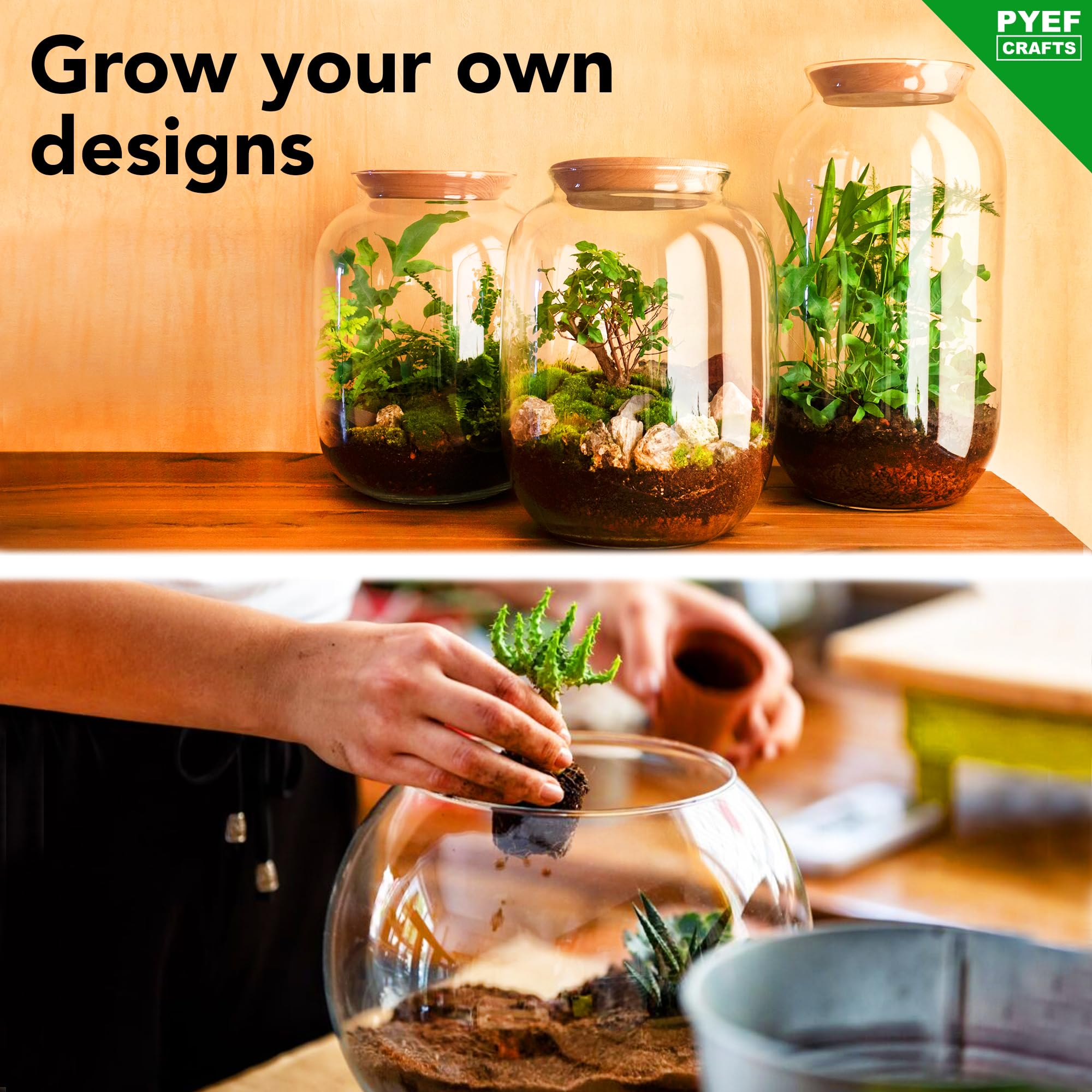 Bamboo spoon and tweezers for precise plant placement.