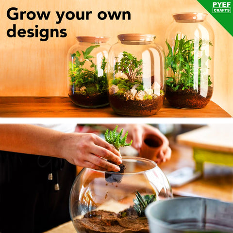 Bamboo spoon and tweezers for precise plant placement.