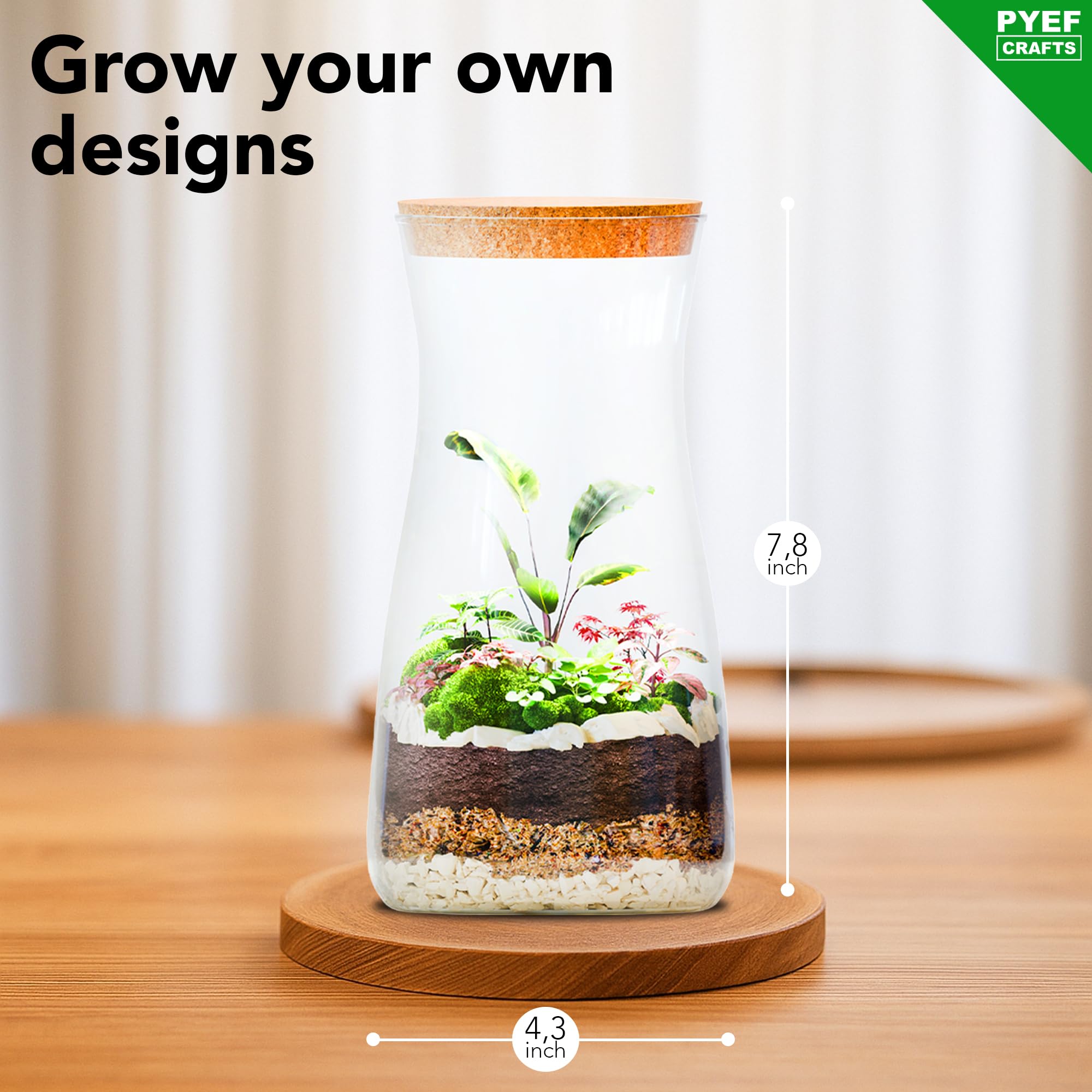 PYEF CRAFTS DIY Terrarium Kit decorative elements add a stylish living space accent.