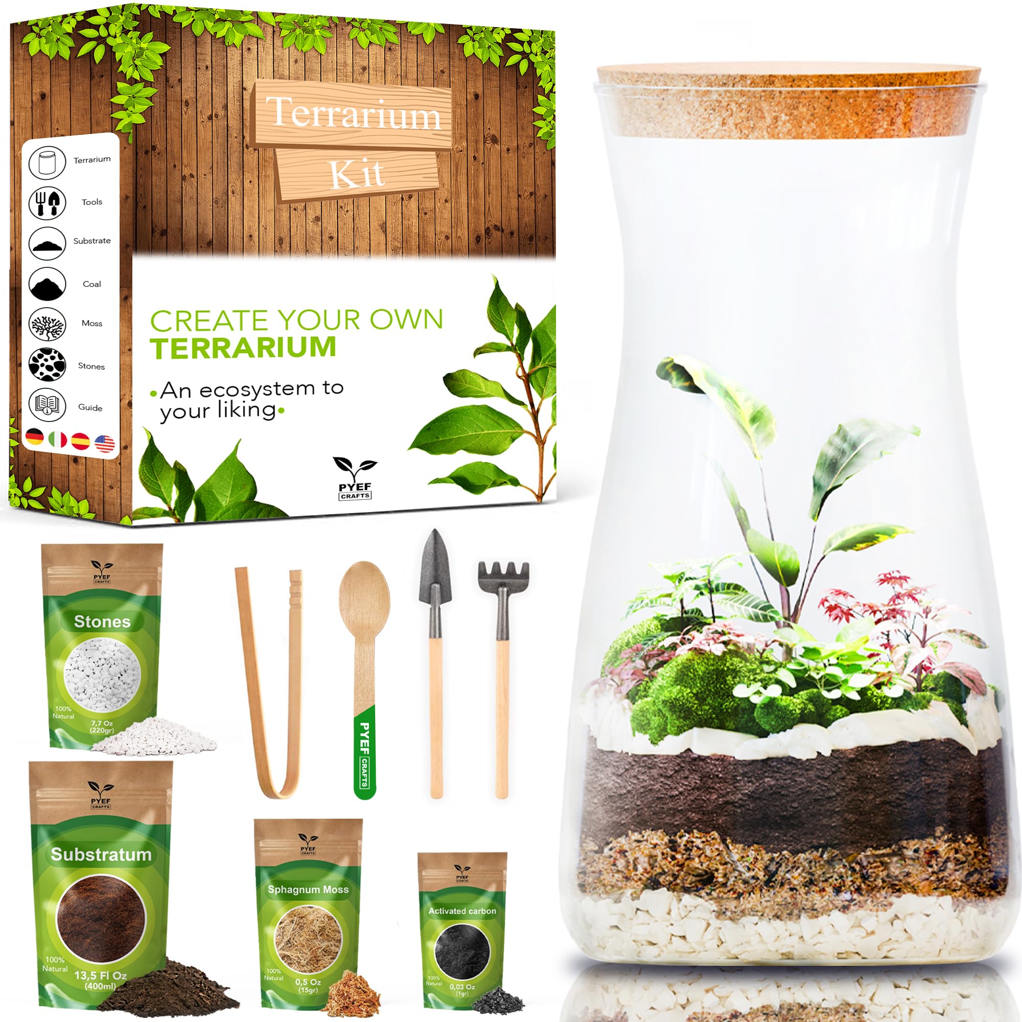 PYEF CRAFTS DIY Terrarium Kit glass jar setup for a self-contained home garden.