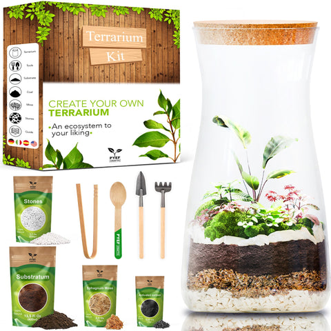 PYEF CRAFTS DIY Terrarium Kit glass jar setup for a self-contained home garden.