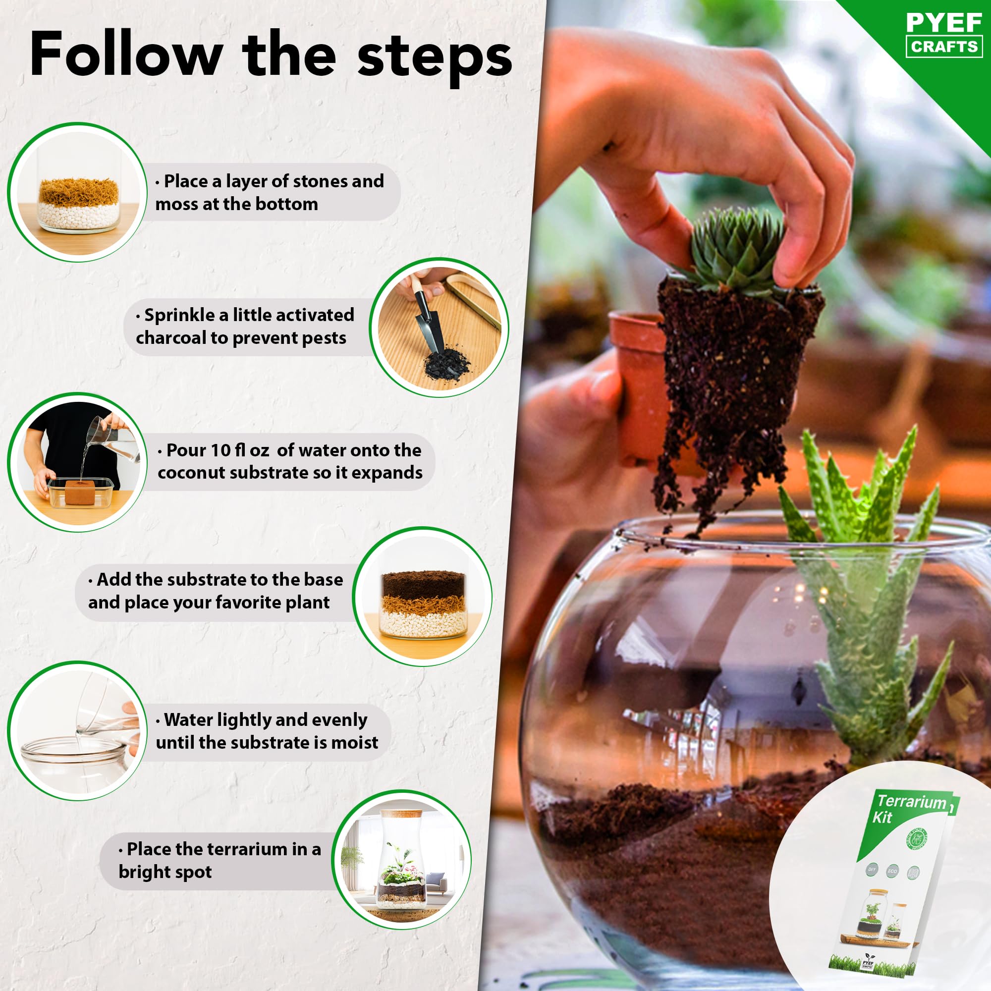 PYEF CRAFTS DIY Terrarium Kit moss and charcoal blend supports a healthy microenvironment.