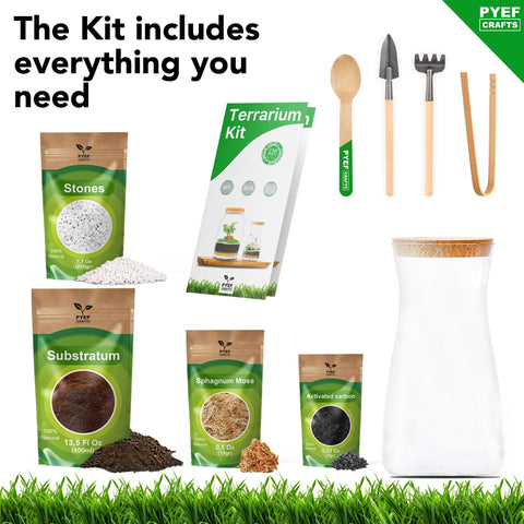 PYEF CRAFTS DIY Terrarium Kit ready for succulents and small greens.