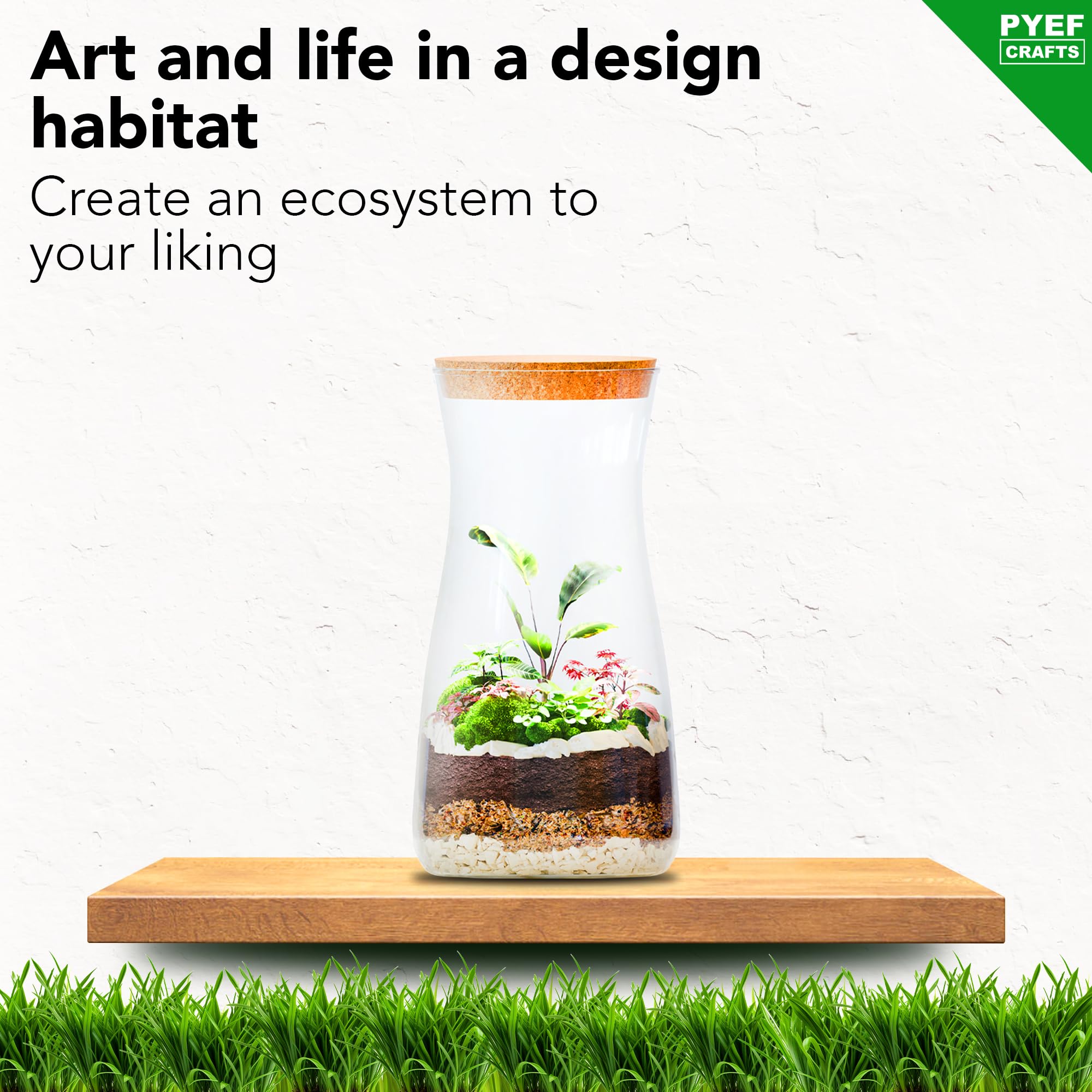 PYEF CRAFTS DIY Terrarium Kit tools included for easy planting and maintenance.
