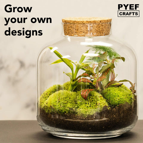 Jar not included; use your own jar for this kit.