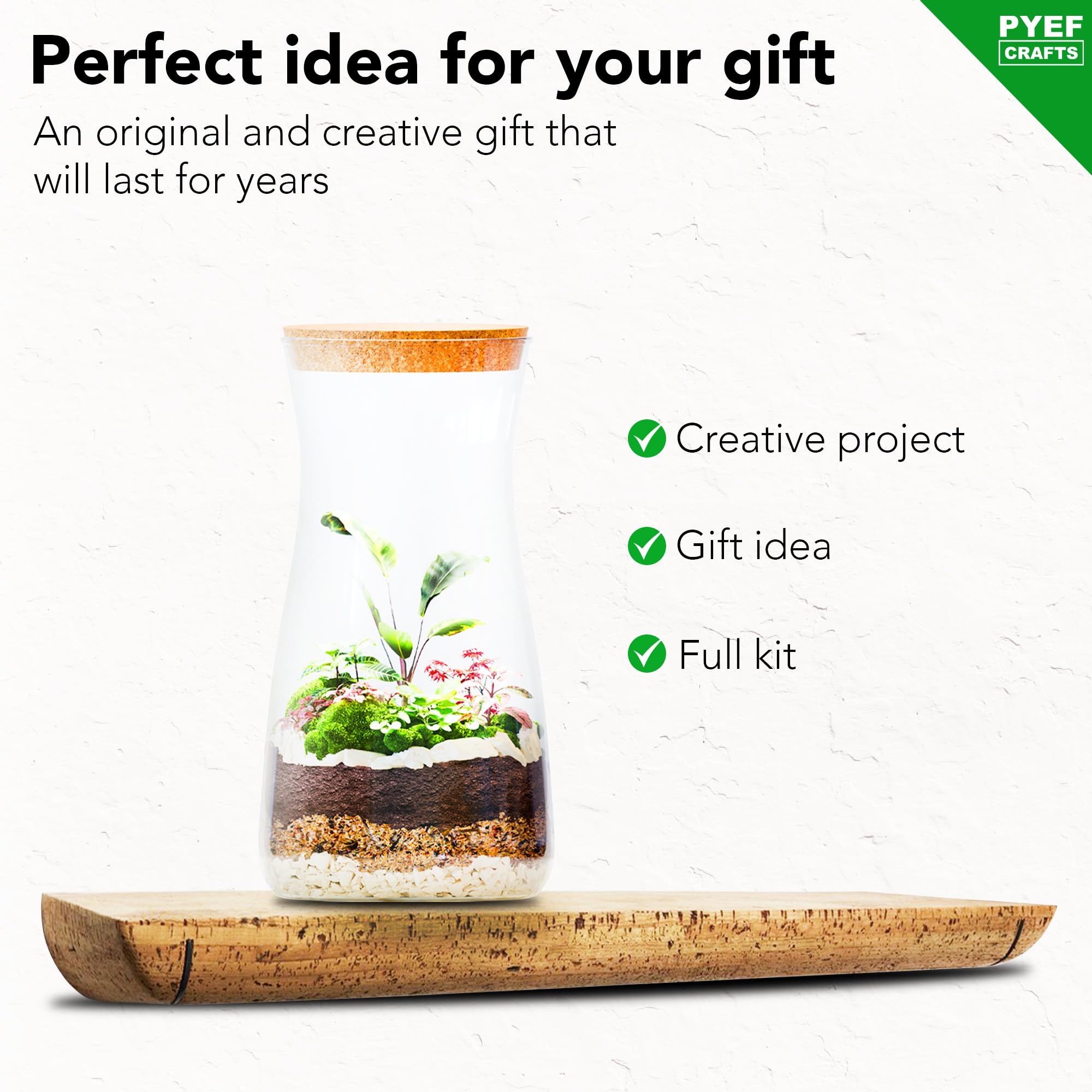 Terrarium supports up to 68 oz when layered correctly.
