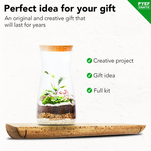 Terrarium supports up to 68 oz when layered correctly.