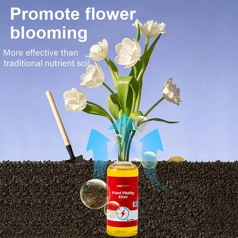 PYIEV Limetown supports vibrant growth across many plant types