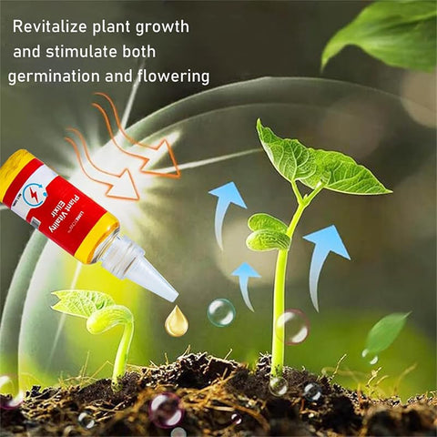 PYIEV Money tree indoor growth with Limetown fertilizer