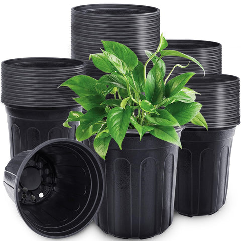 Pynqdfu 60-pcs 1-gallon pots, front view, ideal for easy transplanting.