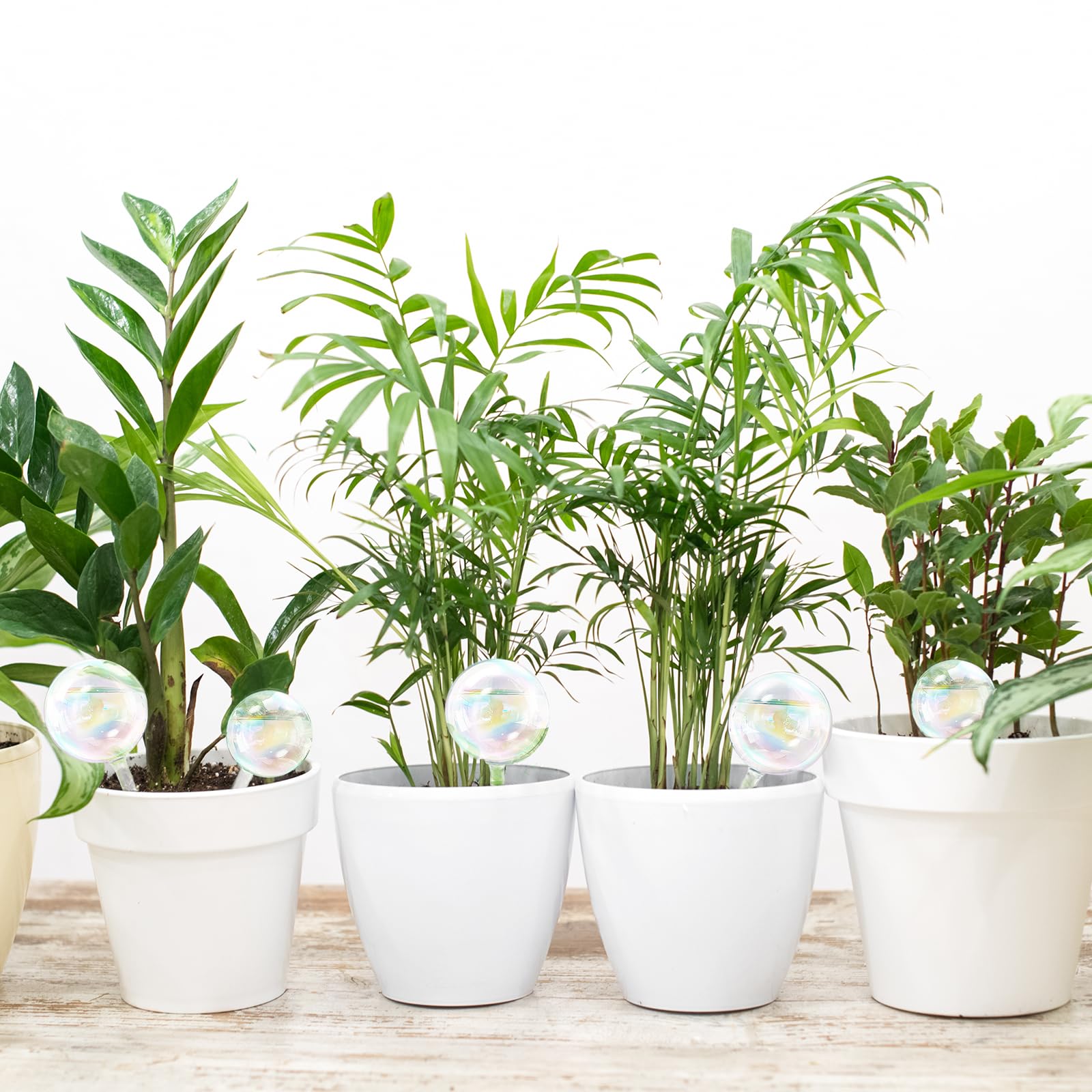 Pynqdfu indoor outdoor watering ball adds color to planters.