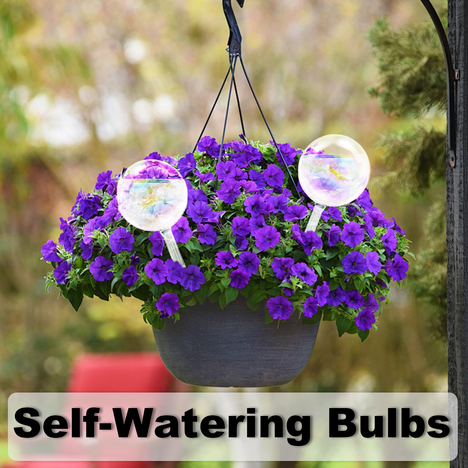 Pynqdfu colorful watering globe decor adds visual appeal while hydrating plants.