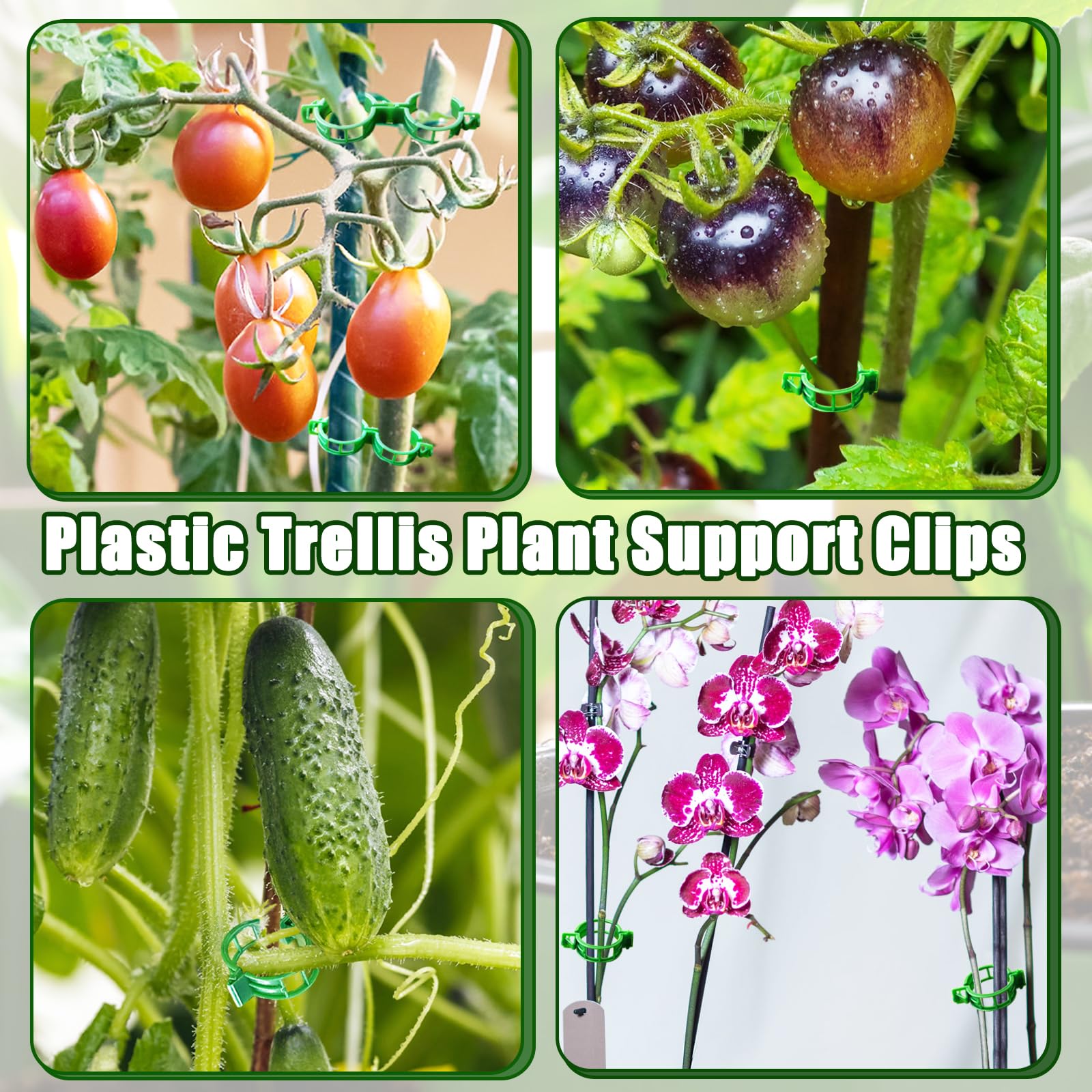 Pynqdfu durable garden clip design promotes airflow around stems.