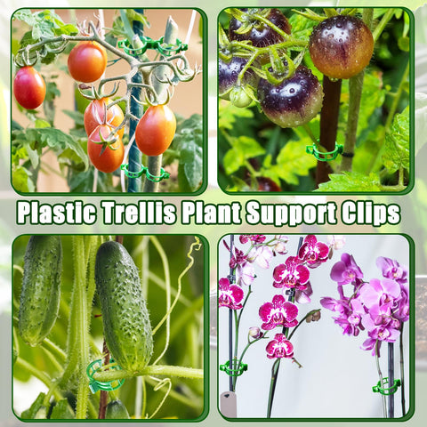 Pynqdfu durable garden clip design promotes airflow around stems.