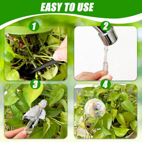 Pynqdfu glass watering globe with adjustable drip rate for precise watering.