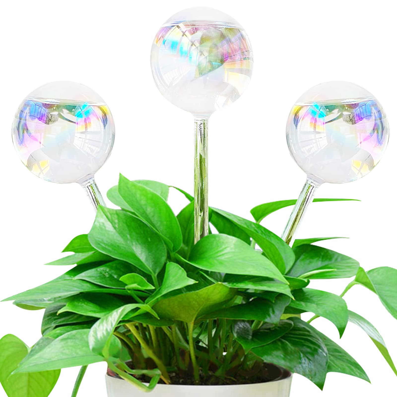 Pynqdfu glass watering globes set for effortless self-watering of indoor plants
