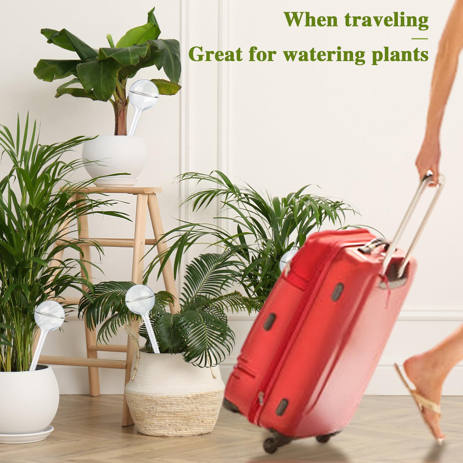 Travel-friendly Pynqdfu bulbs keep plants hydrated during trips