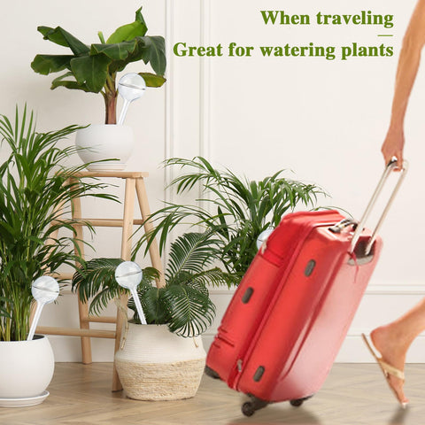Travel-friendly Pynqdfu bulbs keep plants hydrated during trips