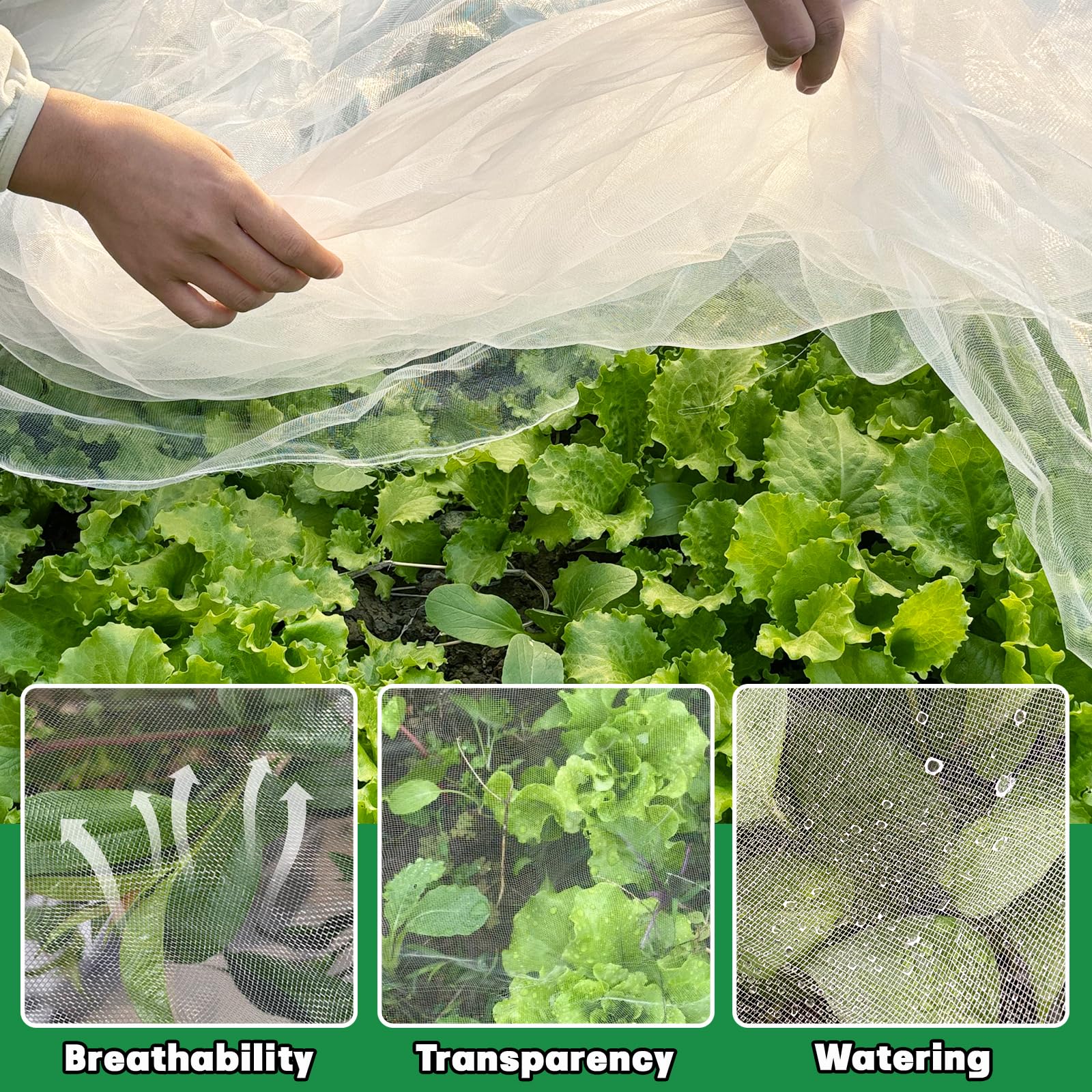 Pynqdfu mosquito netting shields fruit trees from birds and critters.