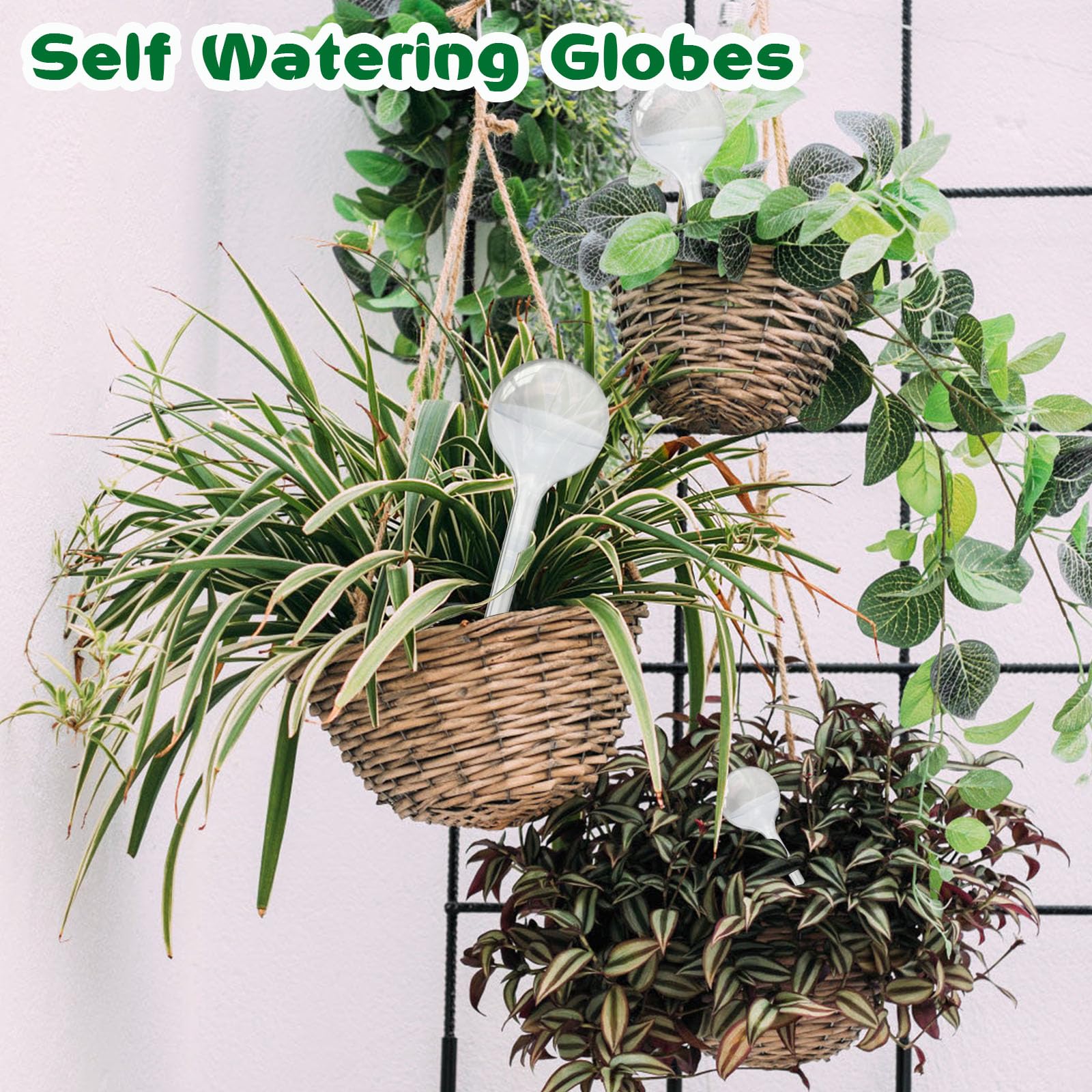 Pynqdfu plastic self-watering accessory keeps plants thriving while you travel