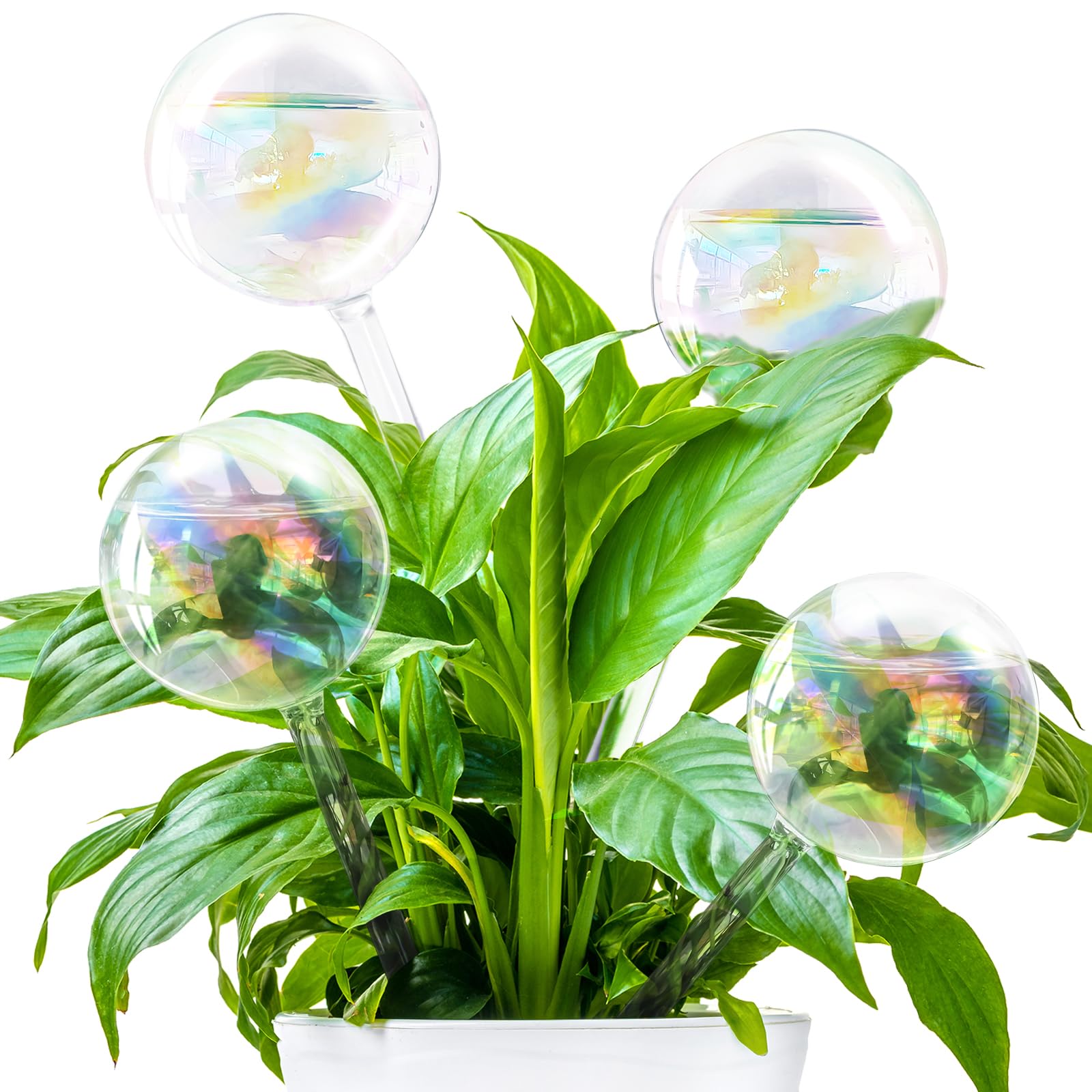 Pynqdfu rainbow glass watering globe assembly provides steady hydration for plants.