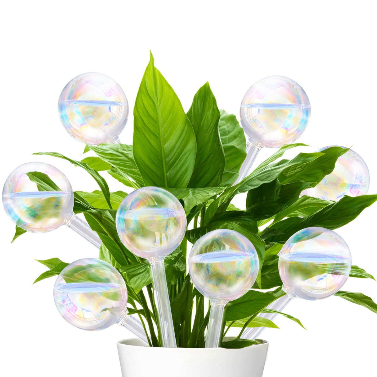Pynqdfu rainbow glass watering globe for effortless indoor plant hydration