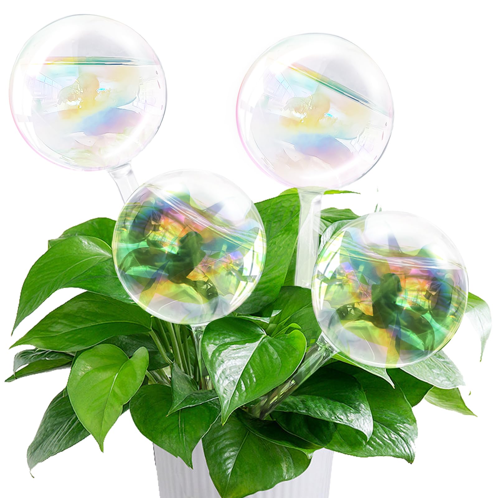 Pynqdfu rainbow gradient glass watering globe in clear finish, ideal for effortless plant care at home.