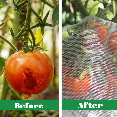 Pynqdfu reusable garden netting in clear PE material for durability.
