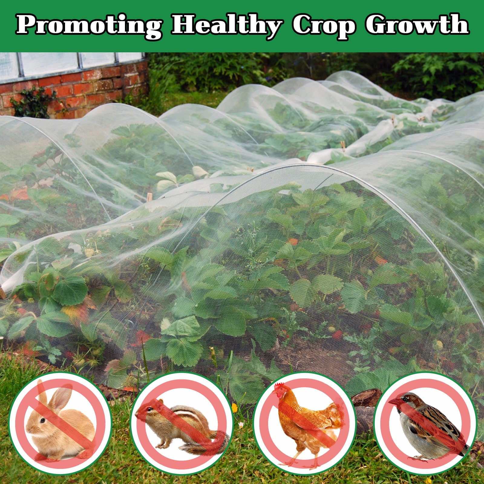 Pynqdfu row cover protects tomatoes and berries outdoors.