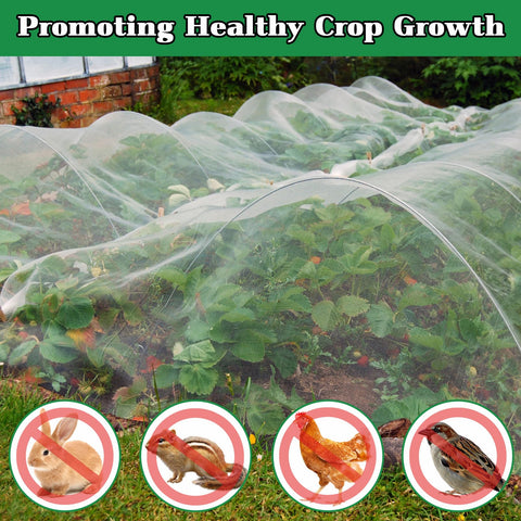 Pynqdfu row cover protects tomatoes and berries outdoors.