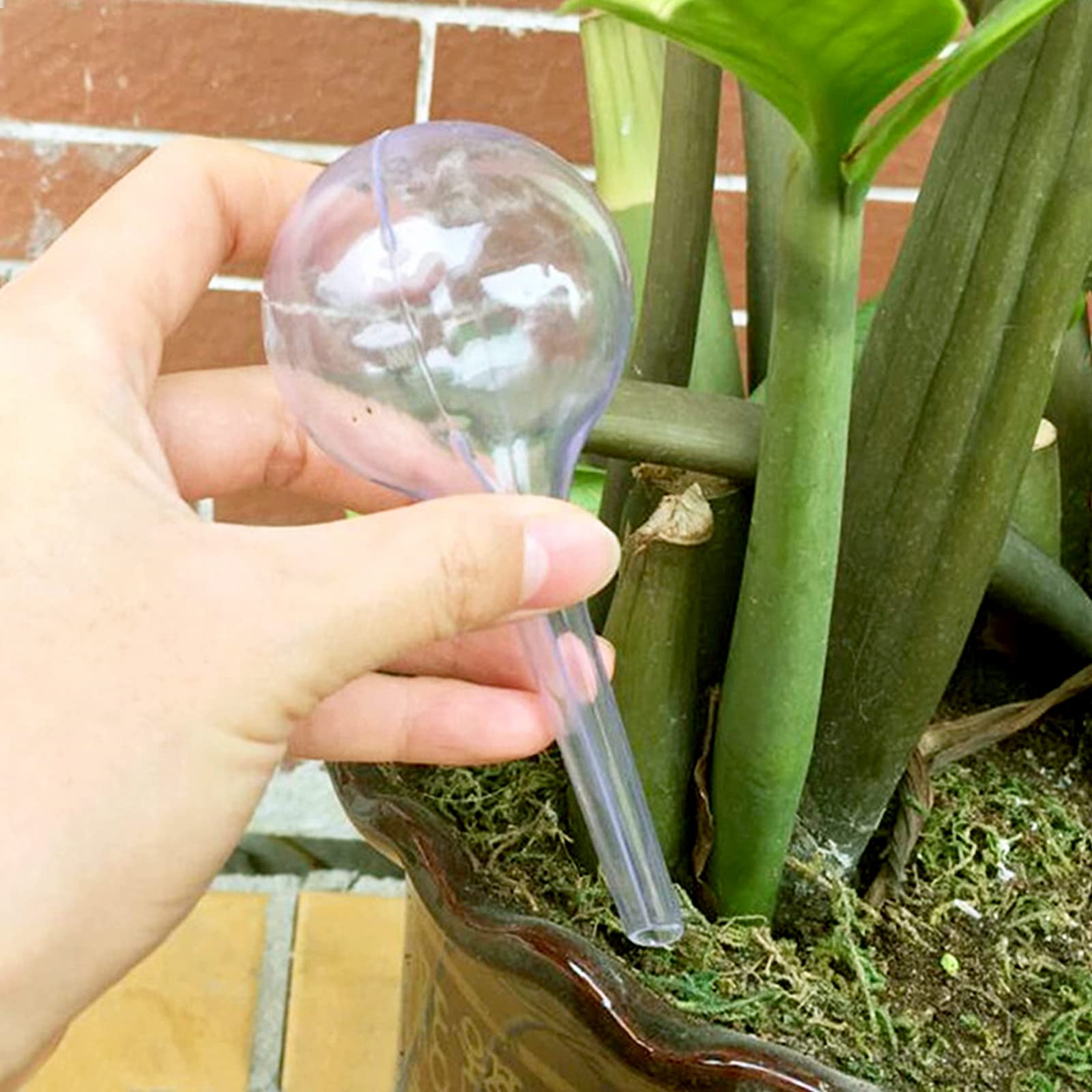 Pynqdfu transparent plant water bulbs visible water for peace of mind.