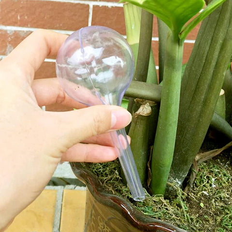 Pynqdfu transparent plant water bulbs visible water for peace of mind.
