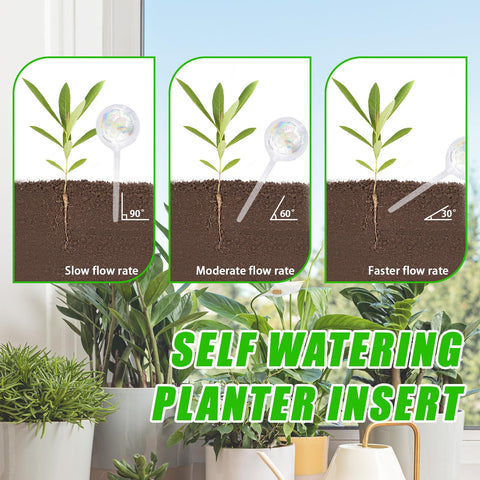 Pynqdfu watering ball on a hanging plant delivers consistent moisture.