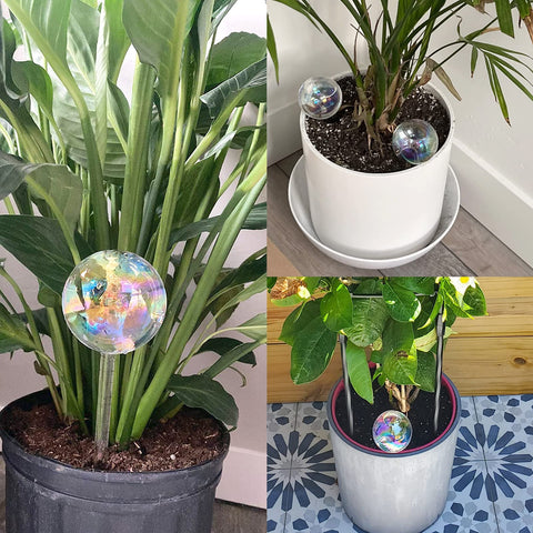 Pynqdfu iridescent watering globes highlighting decorative plant care