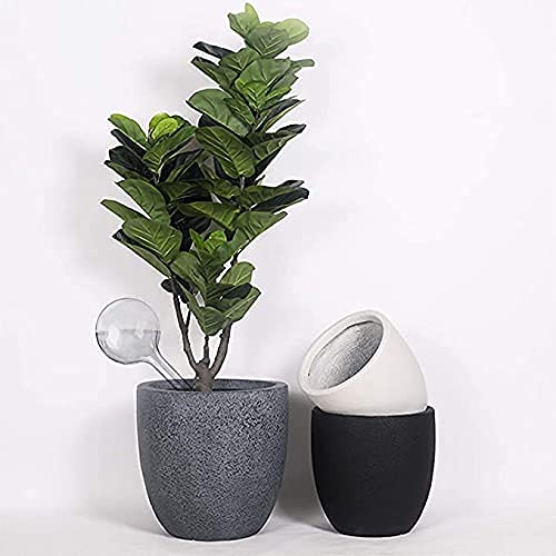 Pynqdfu wide-application globes suit indoor and outdoor planters and baskets