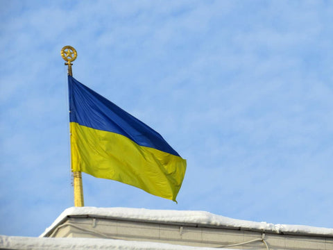PZACHUGY Ukrainian Flag yard display in garden setting.