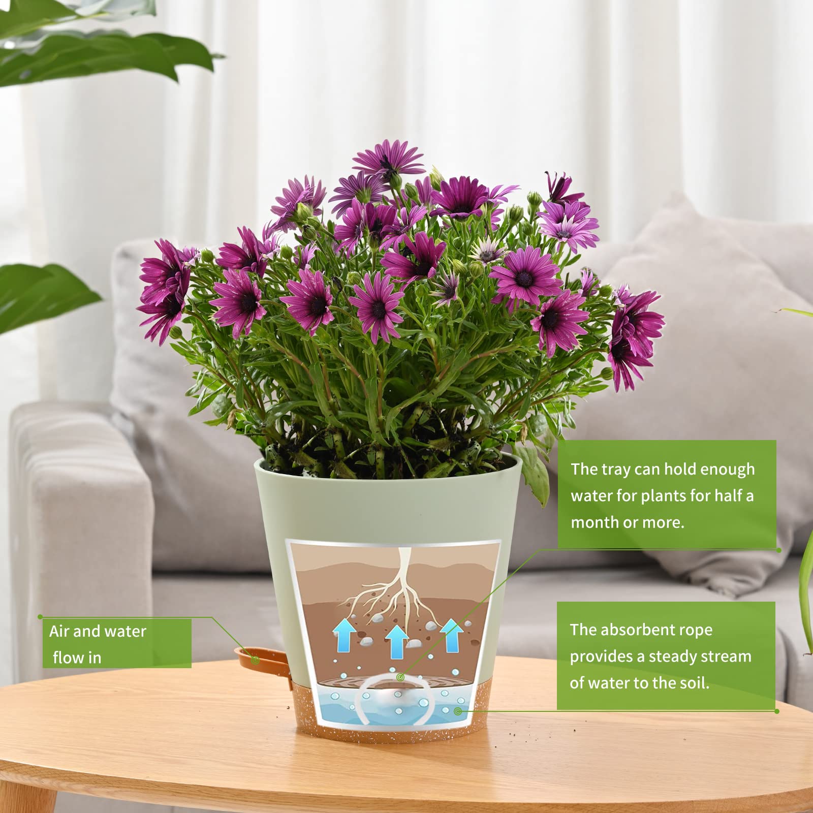 Qaobo drainage system keeps excess water away from roots in green pots.