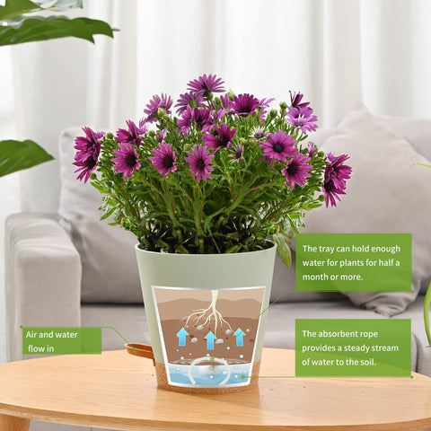 Qaobo drainage system keeps excess water away from roots in green pots.