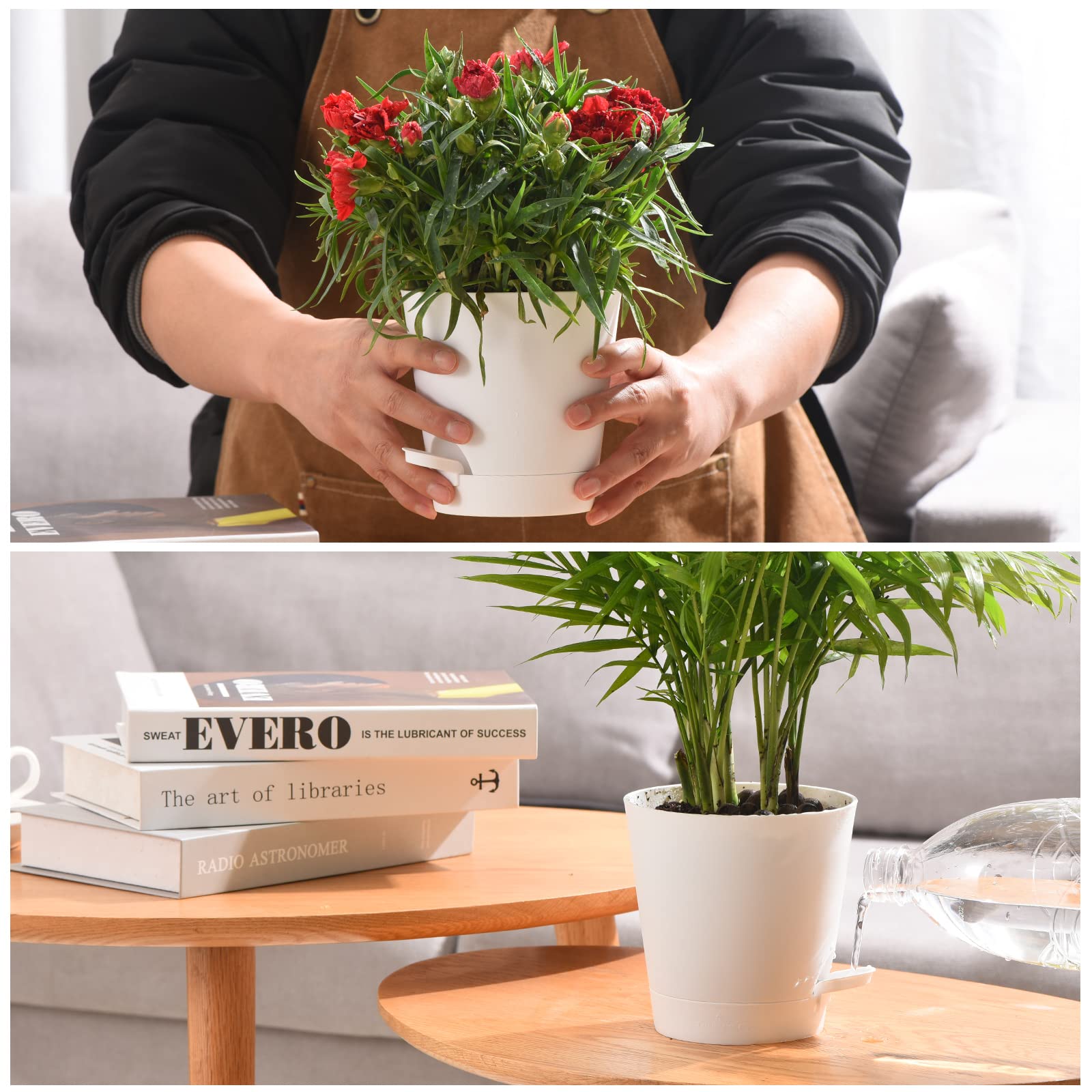 Qaobo garden-collection set demonstrates versatile plant styling options