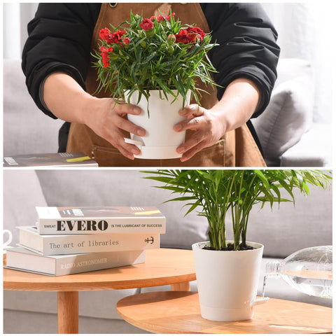 Qaobo garden-collection set demonstrates versatile plant styling options