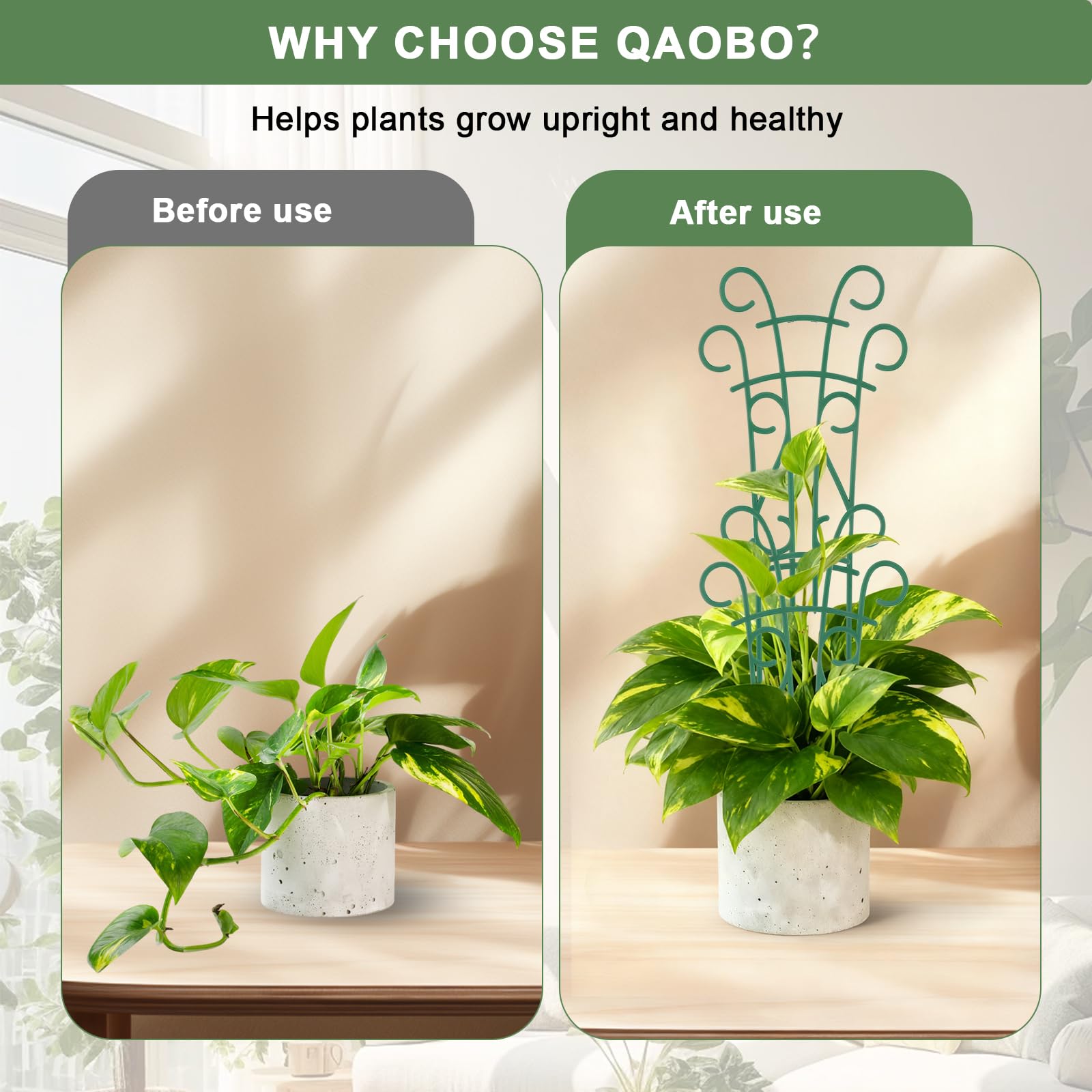 Qaobo decorative vine-inspired trellis blends with foliage.