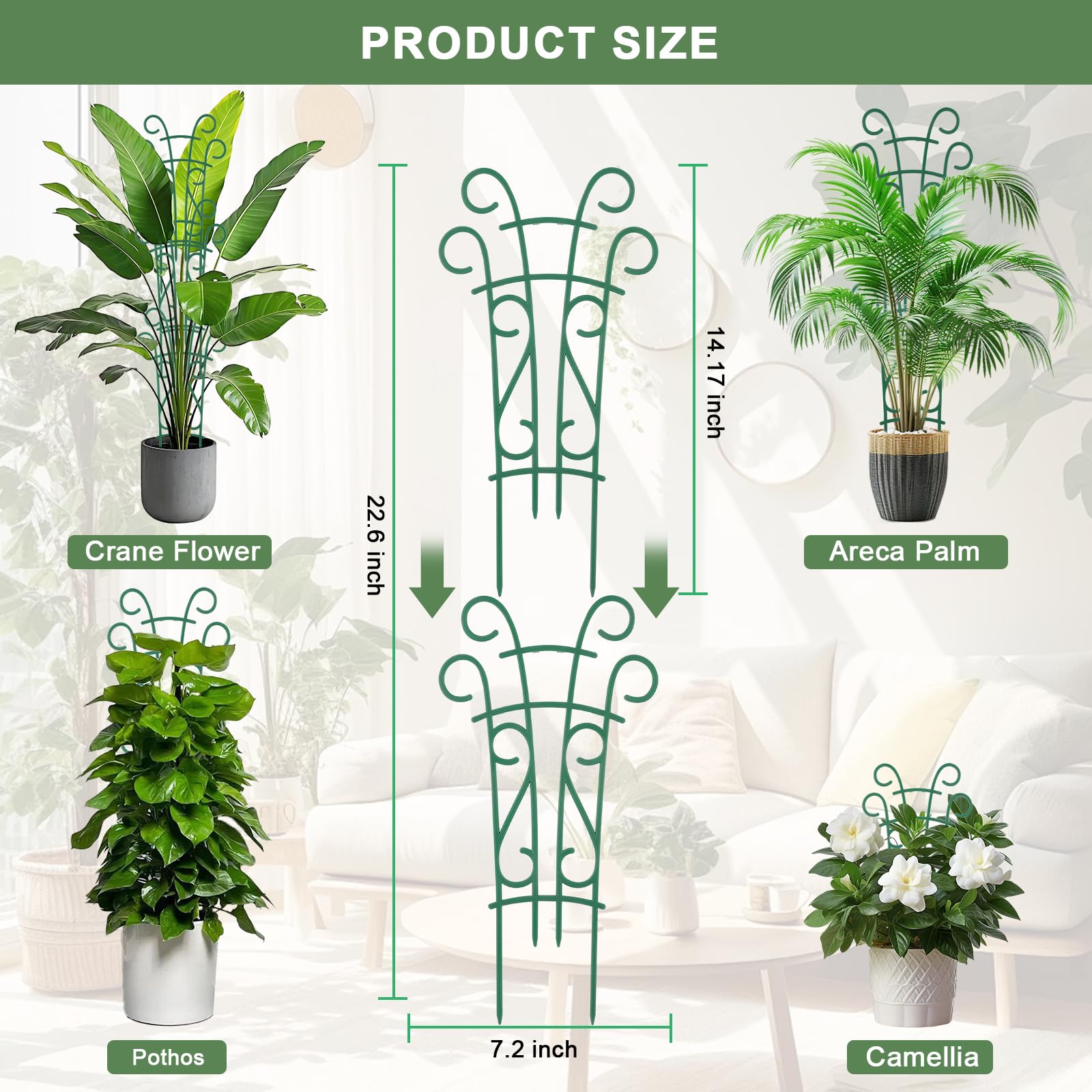 Qaobo height-extended trellis in two-piece setup for taller climbers.