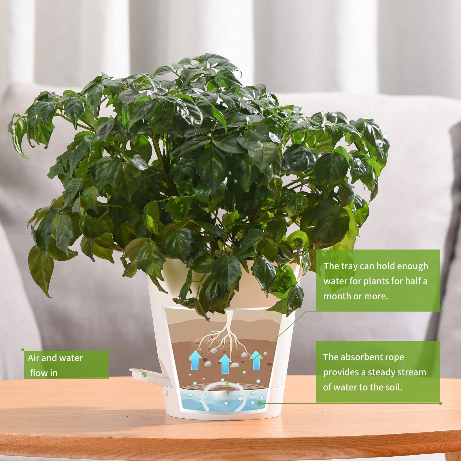 Qaobo indoor-outdoor use six-pack ideal for home or office