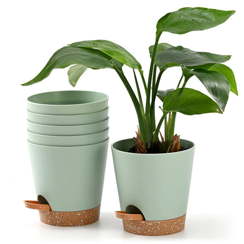 Qaobo 5-inch self-watering green plant pots with reservoir for indoors.