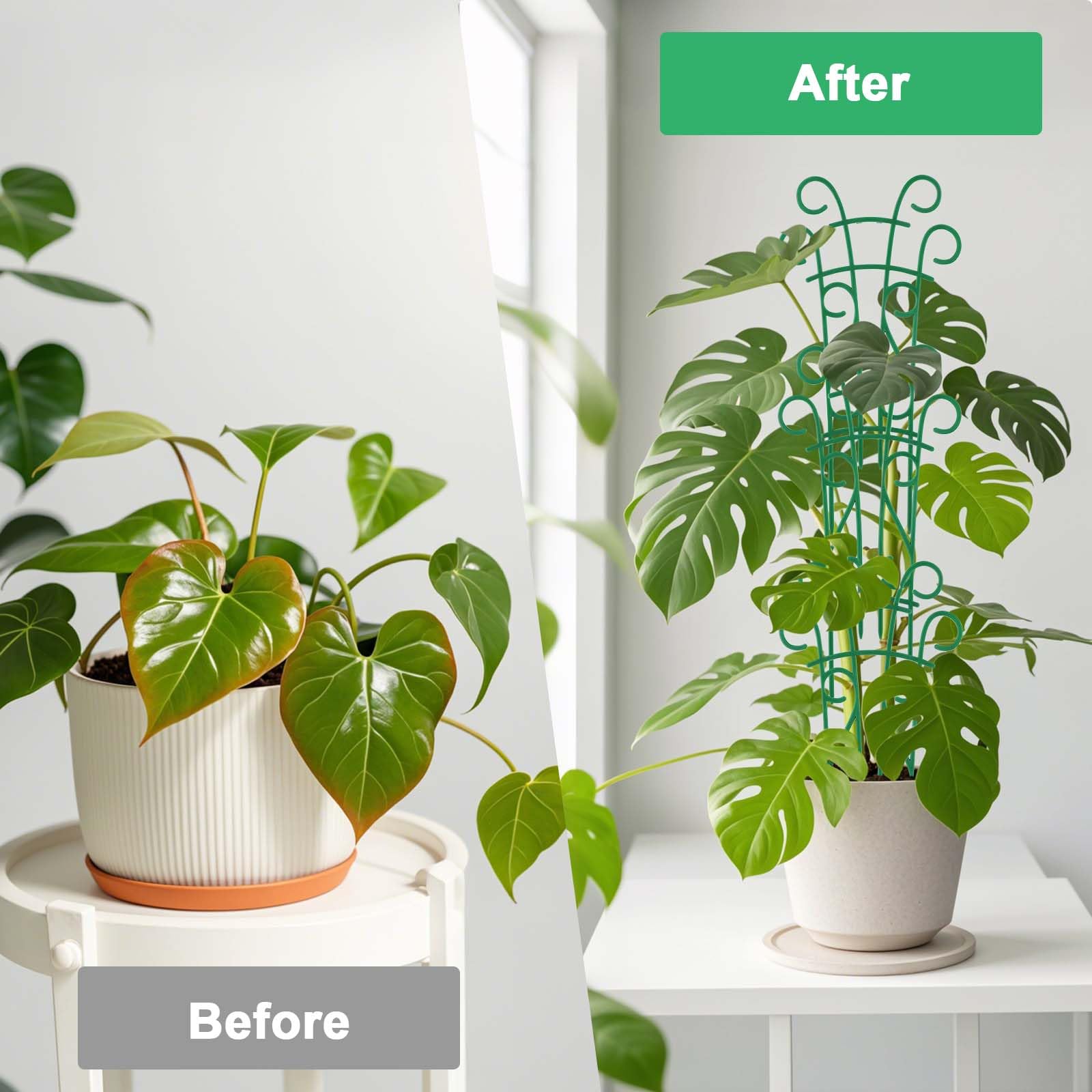 Qaobo plant trellis buckle stack demonstrates easy height extension for taller plants.