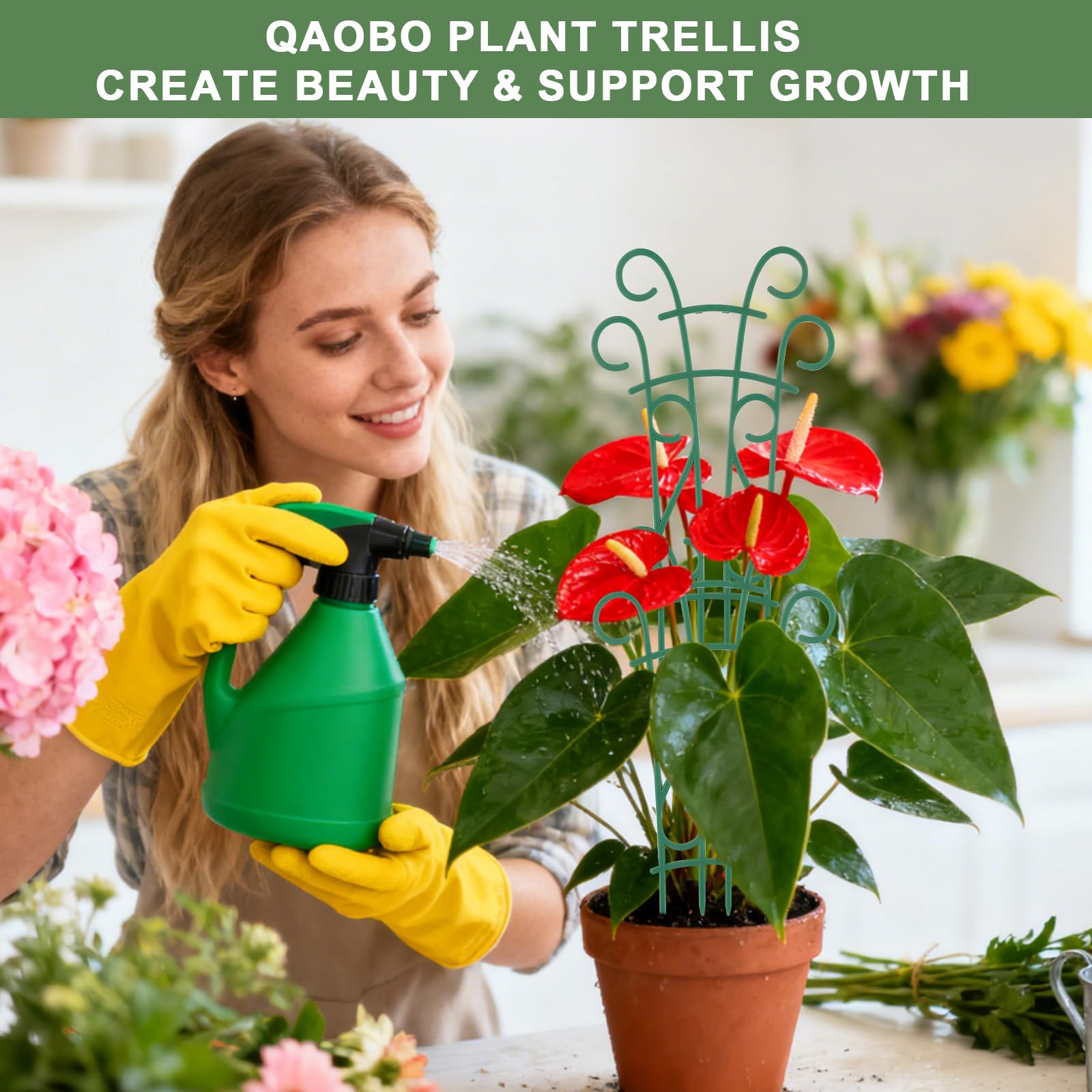 Qaobo rose-hoya-pothos trellis helps climbing plants stay organized